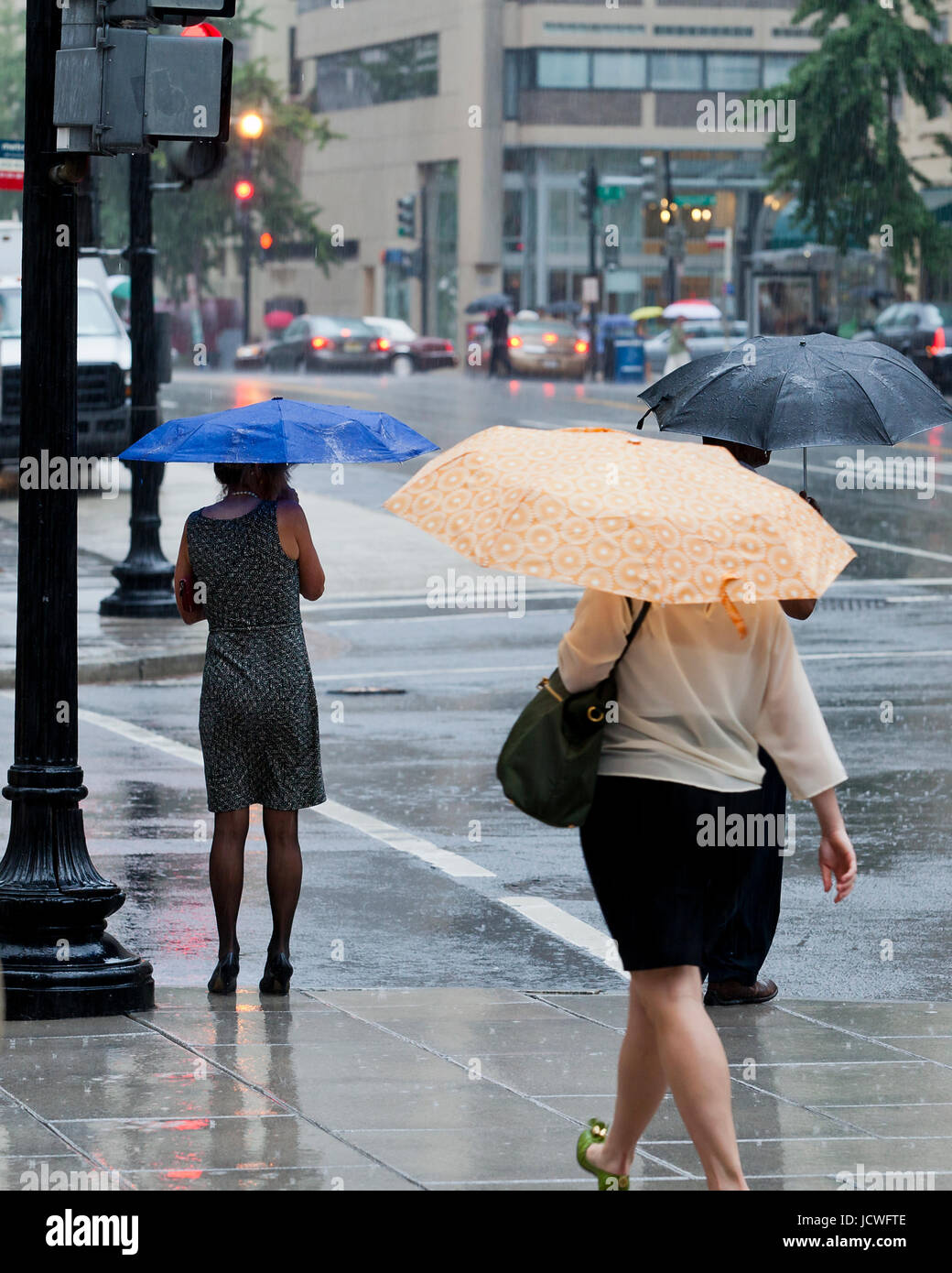 Women walking with umbrellas during a rainy day (woman holding umbrella) - Washington, DC USA Stock Photo