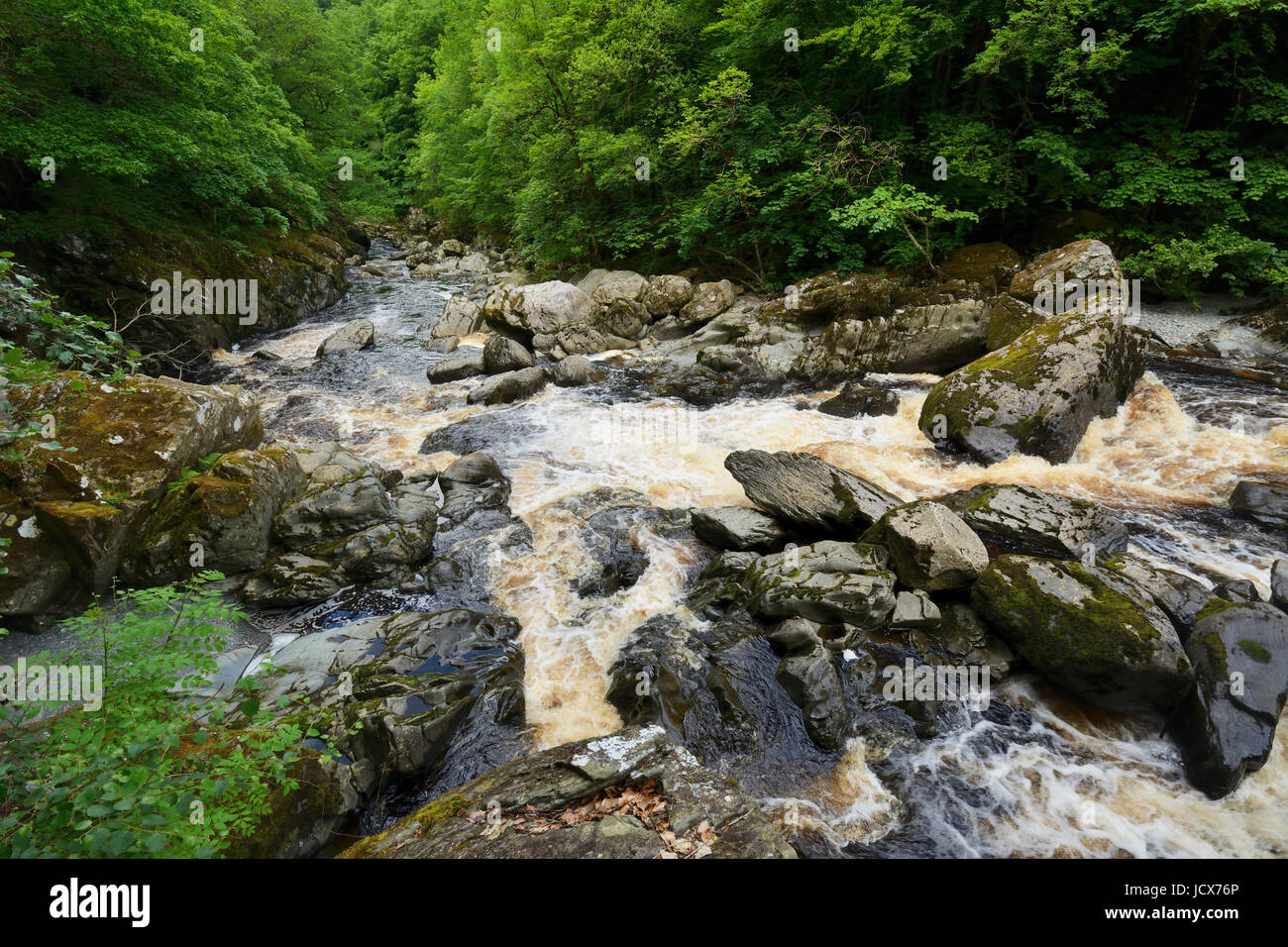 Afon Conwy in spate after prolonged rainfall.- the river Conway near conway Falls, Betws y Coed in North Wales. Stock Photo