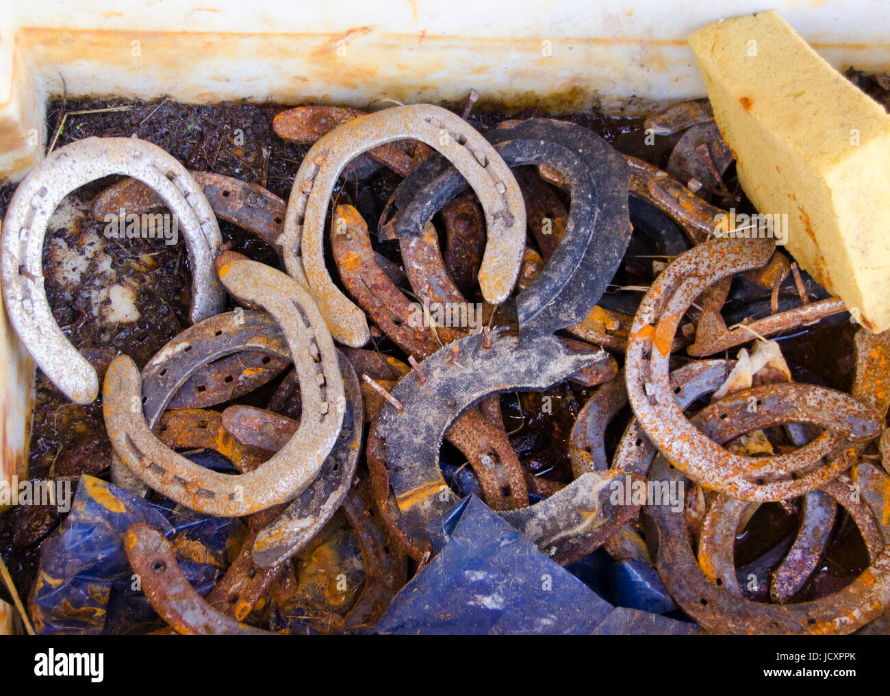 Rusty old horse shoes in a dirty box Stock Photo