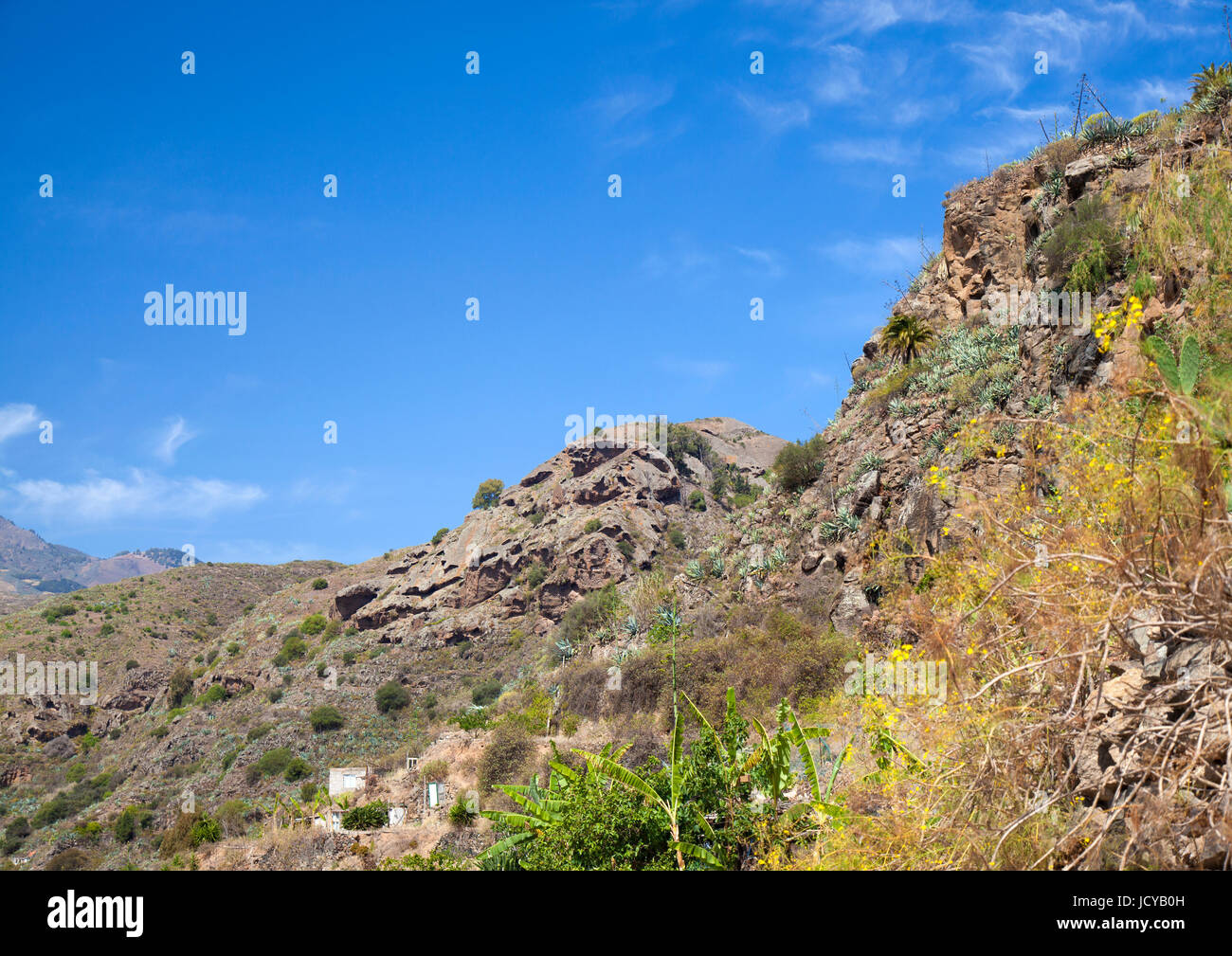 Gran Canaria,  valley close to Santa Brigida, June Stock Photo