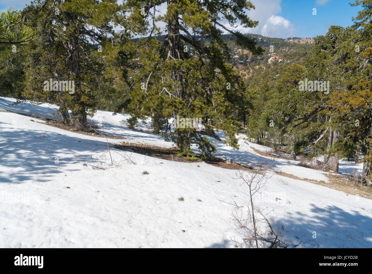 Troodos near  square, snow, Limassol district, Paphos, Cyprus Stock Photo