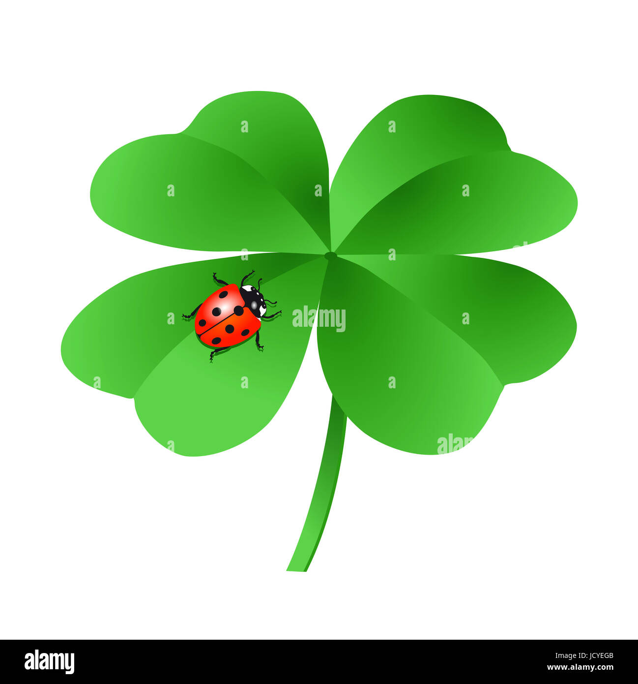 Lucky clover with ladybug, isolated on white, illustration Stock Photo