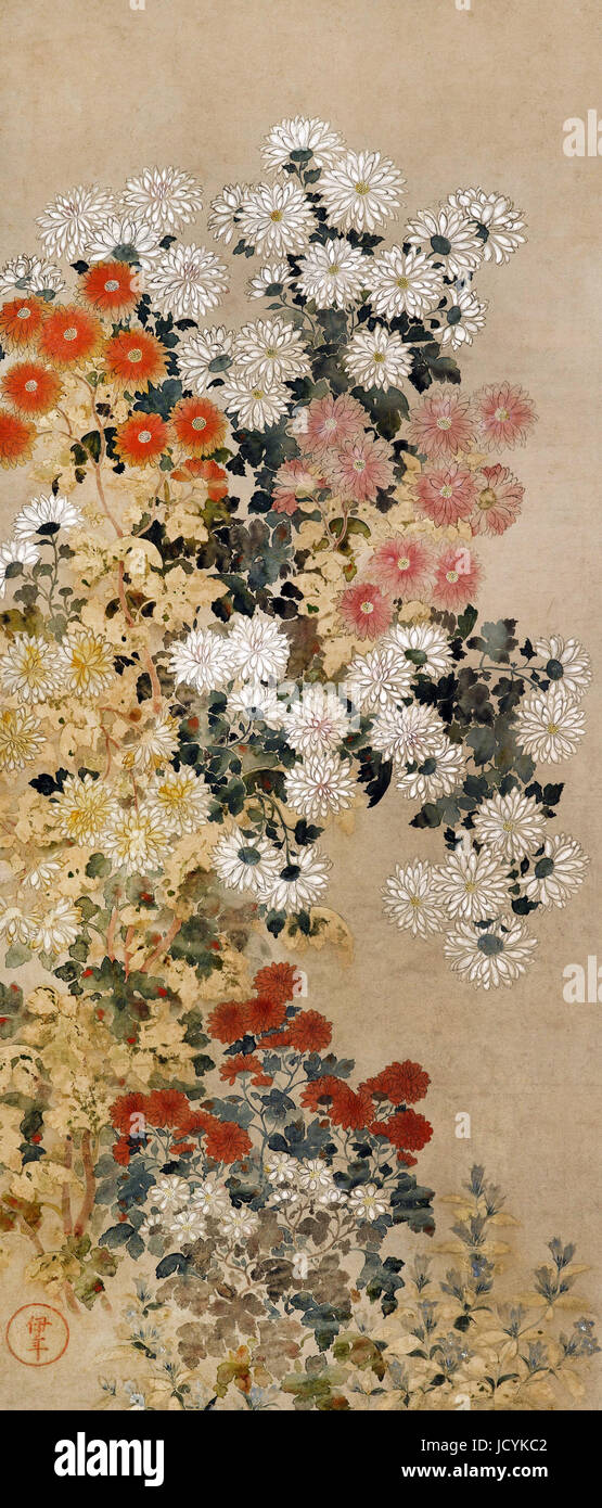 Master of I-nen Seal, Chrysanthemums 1600-1630 Color on paper. Freer Gallery of Art, Washington, D.C., USA. Stock Photo