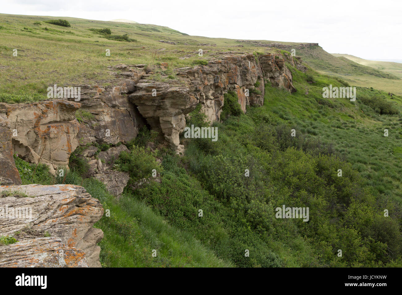 Cliffs at Head-Smashed-In Buffalo Jump in Alberta, Canada Stock Photo -  Alamy