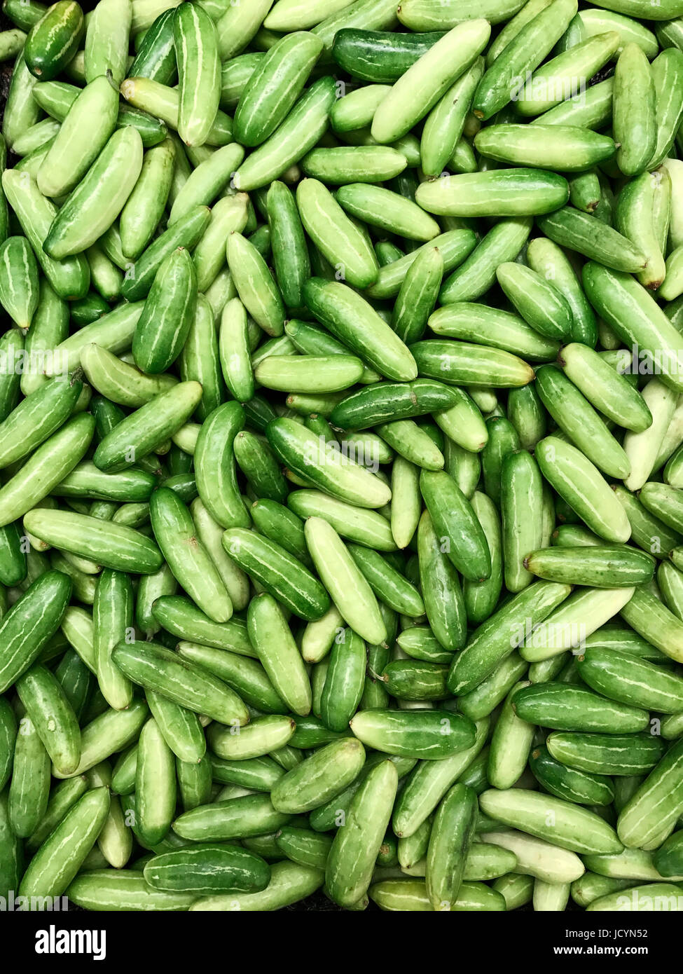 Green tindora vegetable pile background Stock Photo