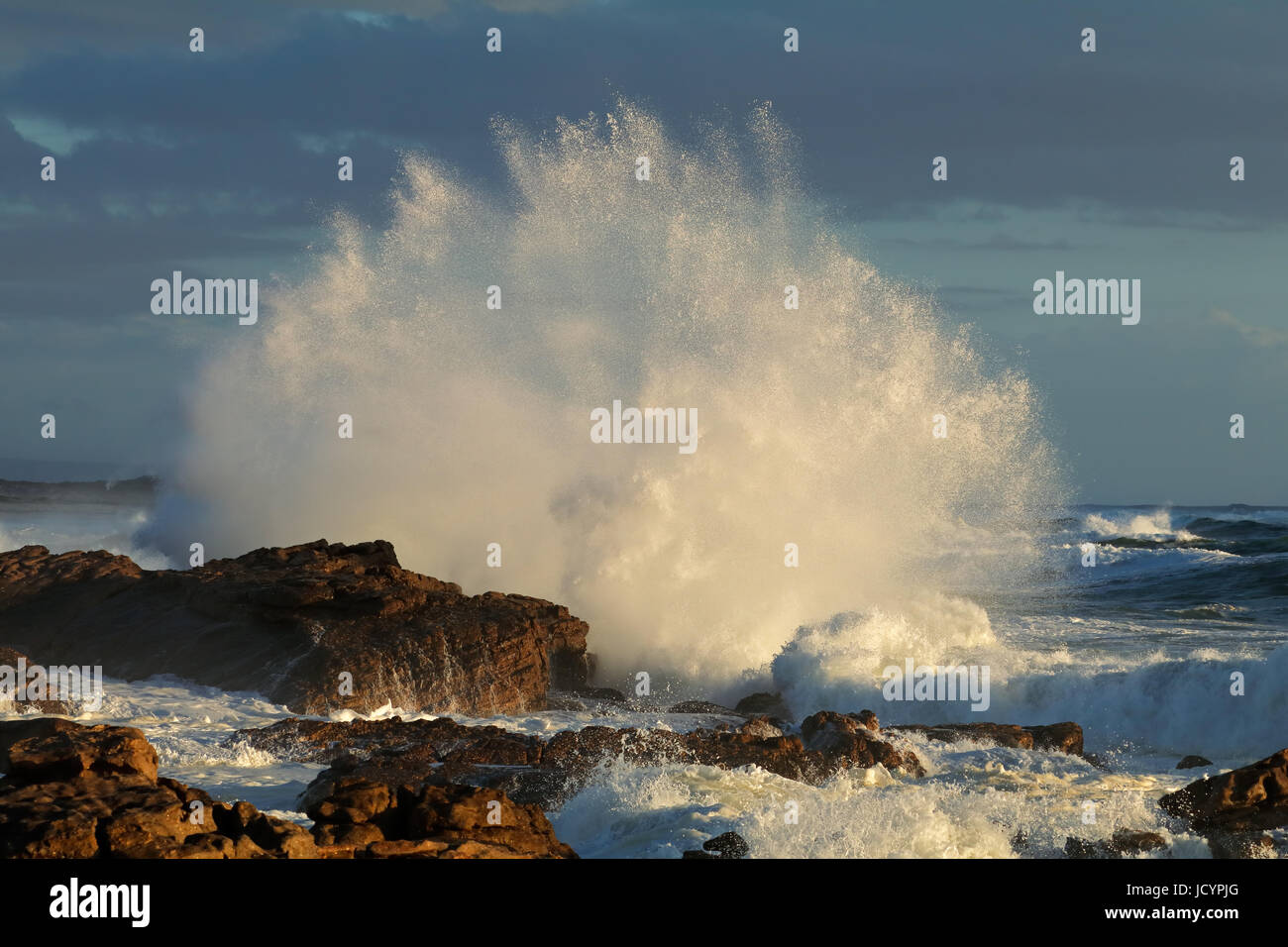 Seascape with large breaking wave on coastal rocks, South Africa Stock Photo