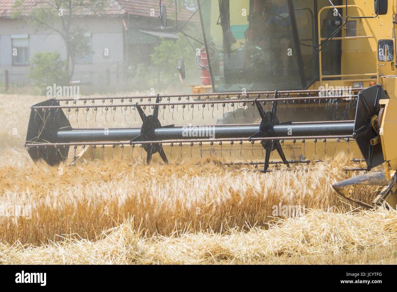 Harvesting barley with combine harvester Stock Photo Alamy