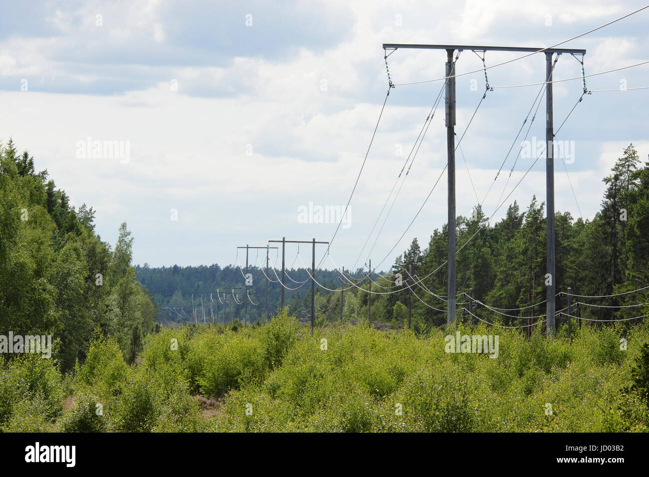 Power line in forrest Stock Photo - Alamy