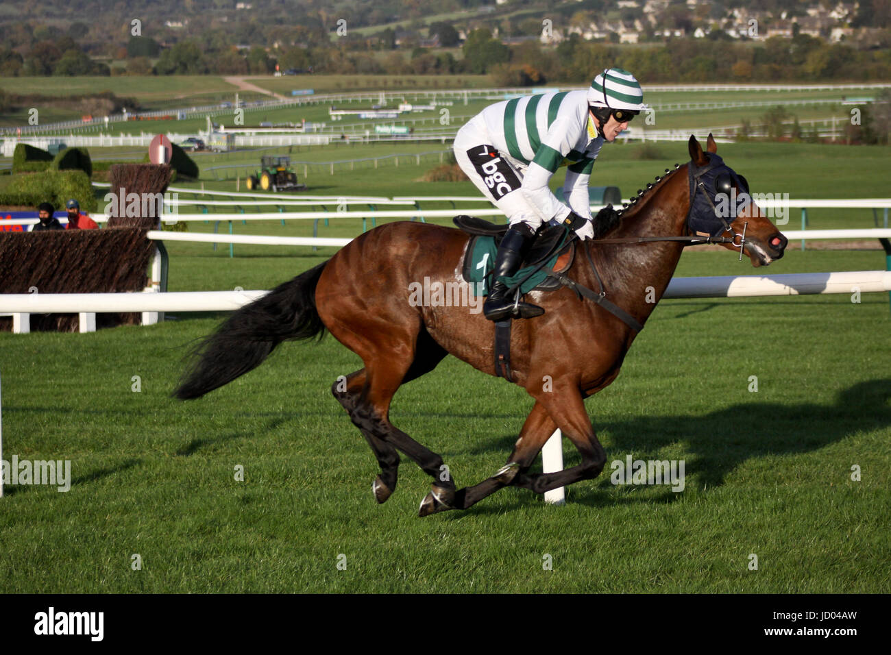 Jump jockeys racing at Cheltenham Stock Photo - Alamy