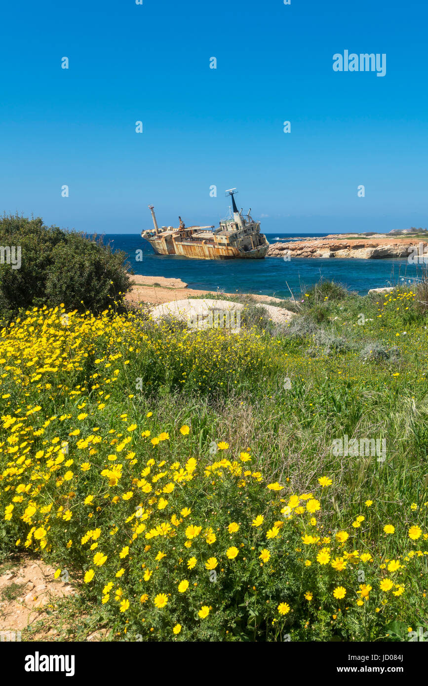 Wreck of Edro III, Sea Caves, near Coral Bay, Paphos, Pafos, Cyprus Stock Photo