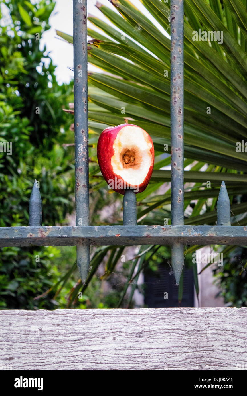 Informal artwork. found still life,rotten apple,impaled on stake of fence,discarded half eaten fruit Stock Photo