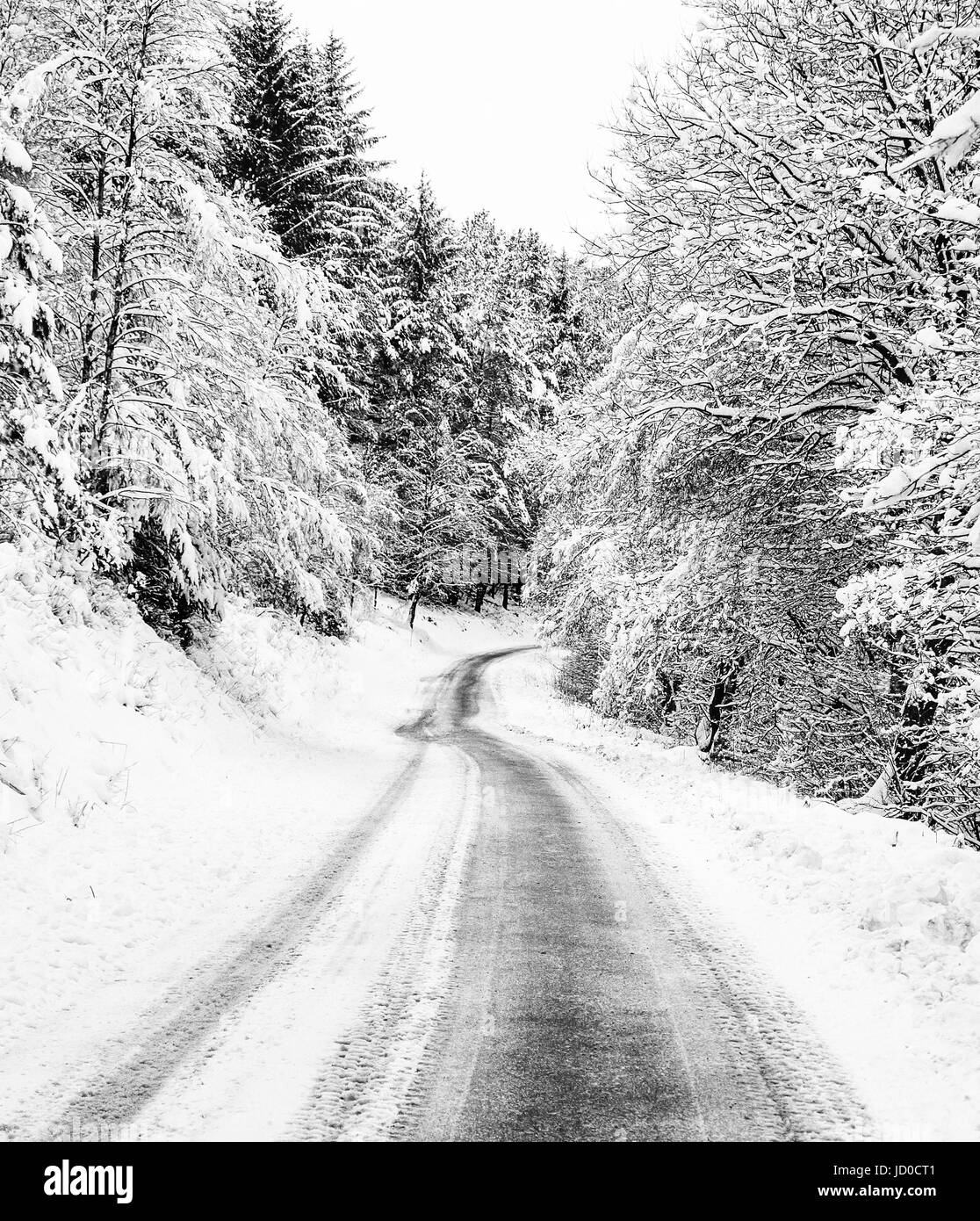 Dalby forest drive in winter Stock Photo