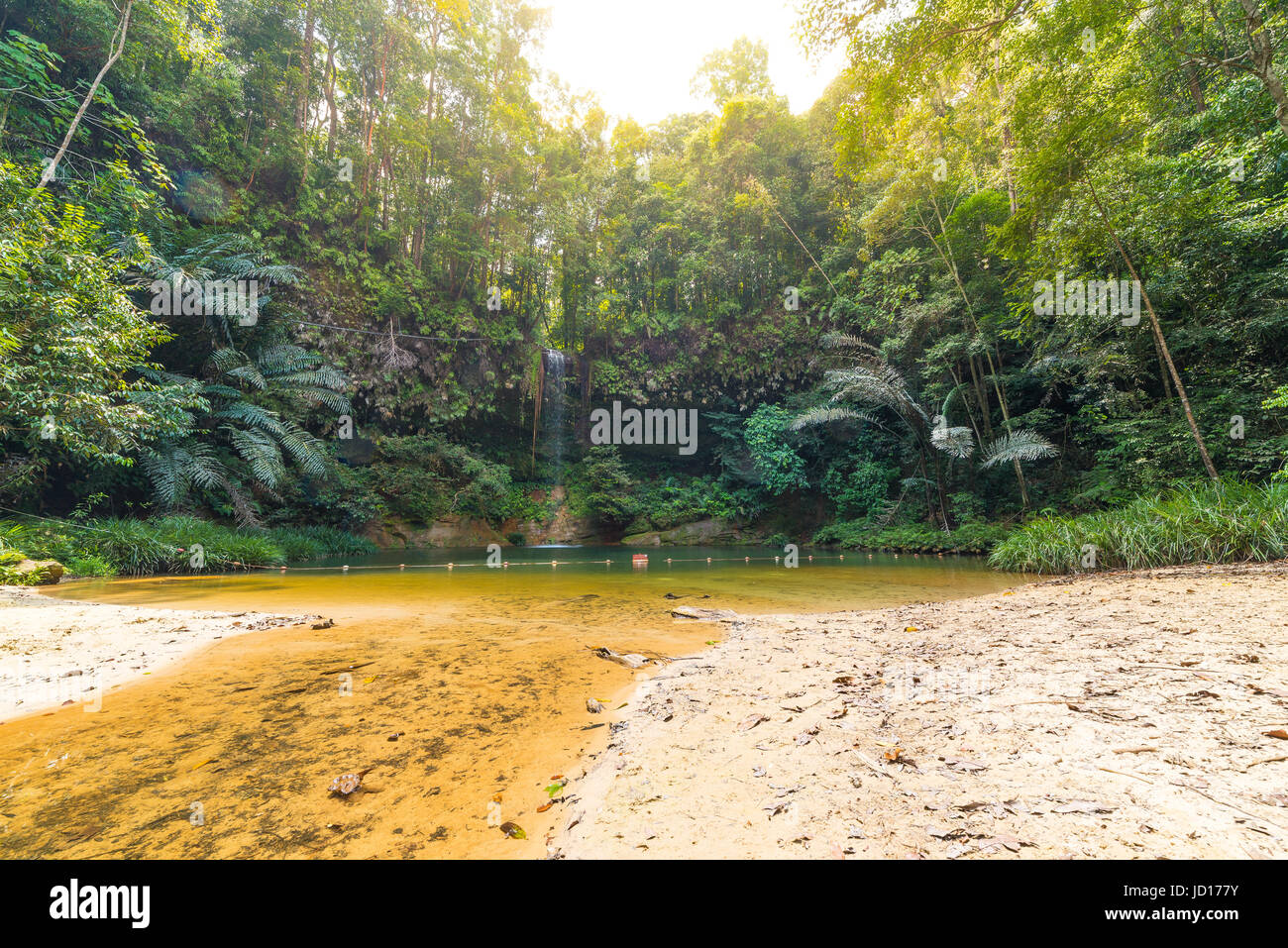 Dreamy multicolored natural pool hidden in the dense and umid rainforest of Lambir Hills National Park, Borneo, Malaysia. Concept of discovery and exp Stock Photo