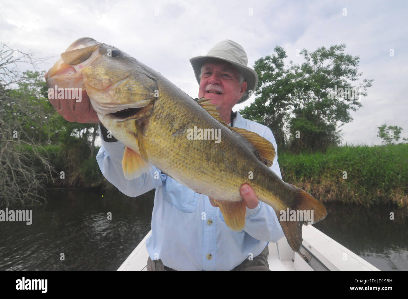 Giant largemouth bass grow big  in Florida's St. Johns River and connecting Lakes! Many fish this size, between 8 and 10 pounds make for a good day! Stock Photo