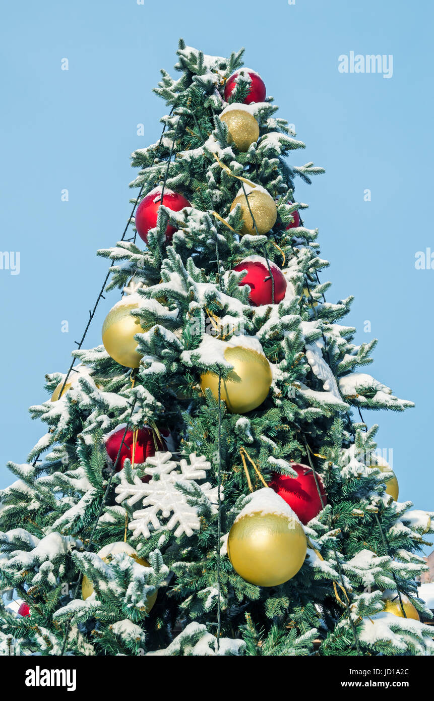 Beautiful snow covered Christmas tree in courtyard on a blue background