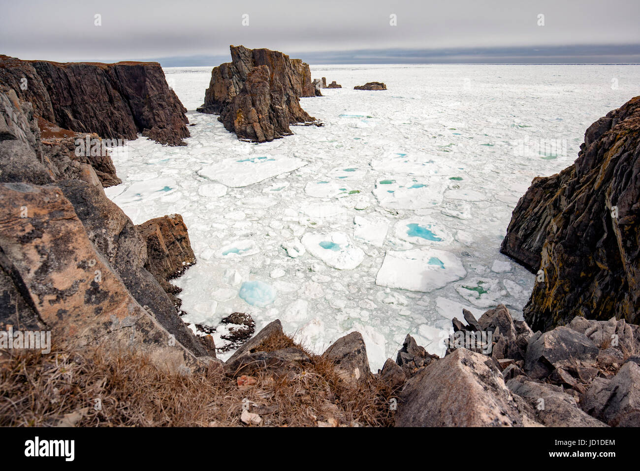 Rugged Coastline, Sea Stacks, and Sea Ice at Spillars Cove, near Bonavista, Cape Bonavista Peninsula, Newfoundland, Canada Stock Photo