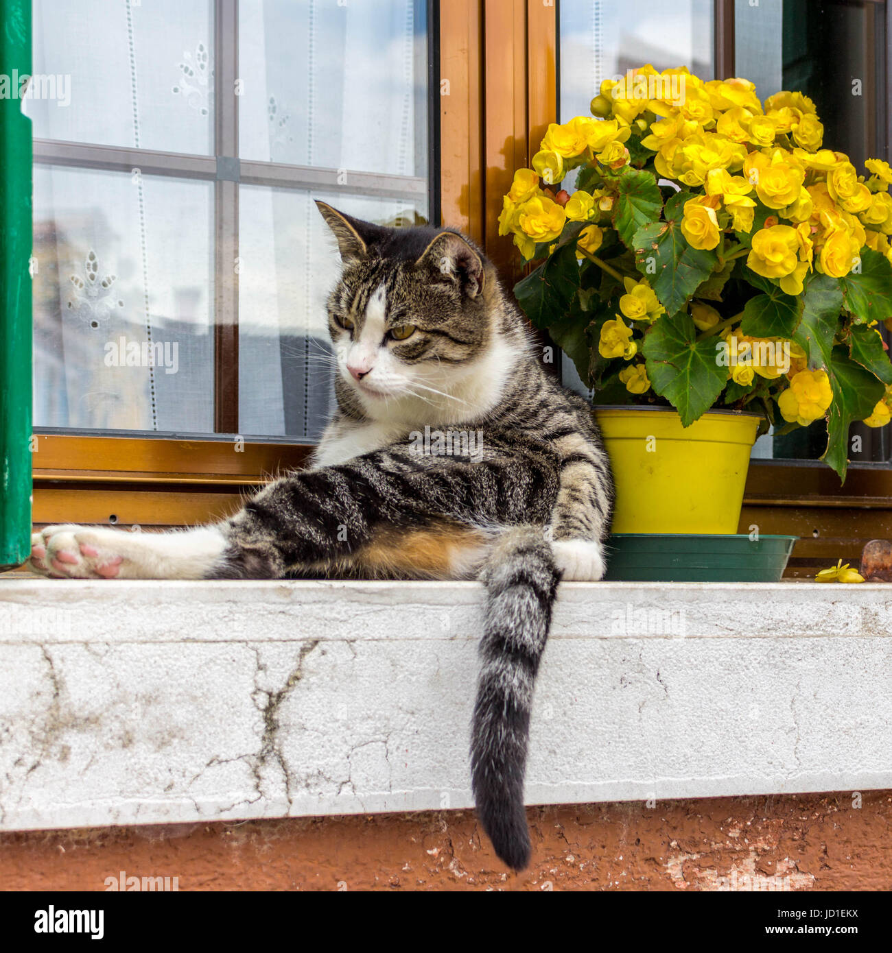 Venedig, Burano, Murano Stock Photo