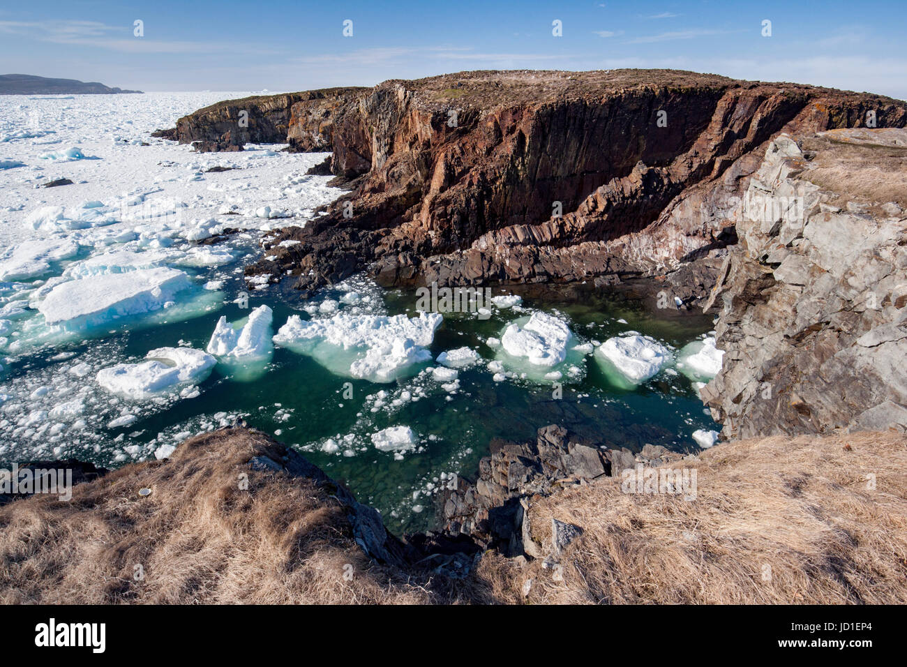 Sea ice and rocky headland in Elliston, near Bonavista, Newfoundland, Canada Stock Photo