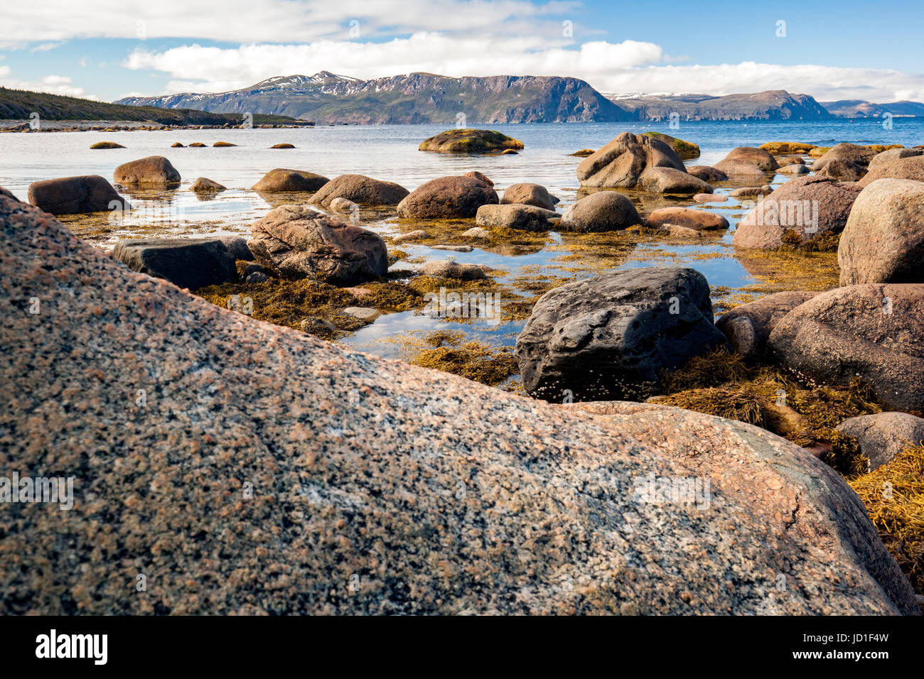 Rocky beach landscape in Gros Morne National Park, near Rocky Harbour, Newfoundland, Canada Stock Photo