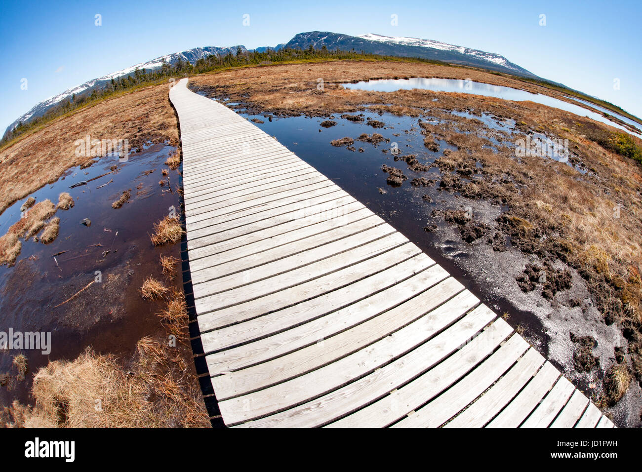Fisheye perspective of trail to Western Brook Pond, Gros Morne National Park, Newfoundland, Canada Stock Photo
