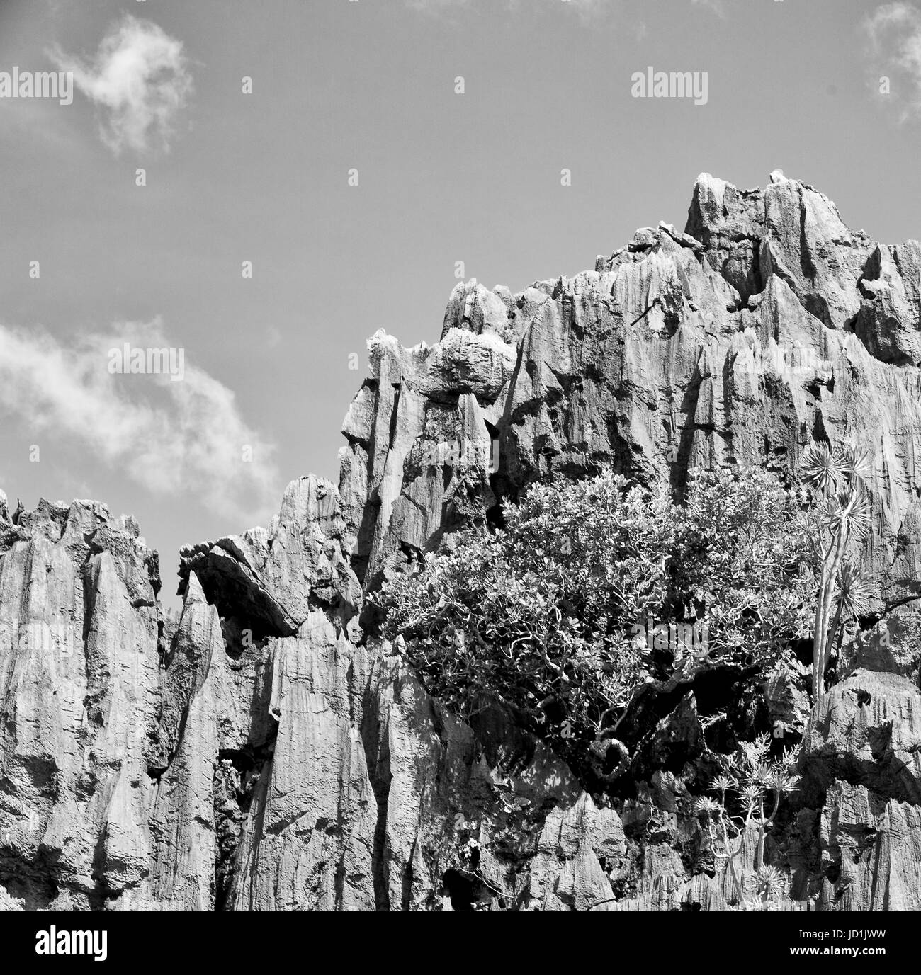 blur in philippines view from a boat of  palm cliff beach and rock from pacific ocean Stock Photo