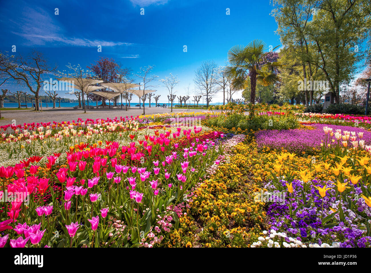 Flowers (tulips, Palms) in the centre of Konstanz city park with Constance lake (Bodensee) in the background. Konstanz is a university city located at Stock Photo