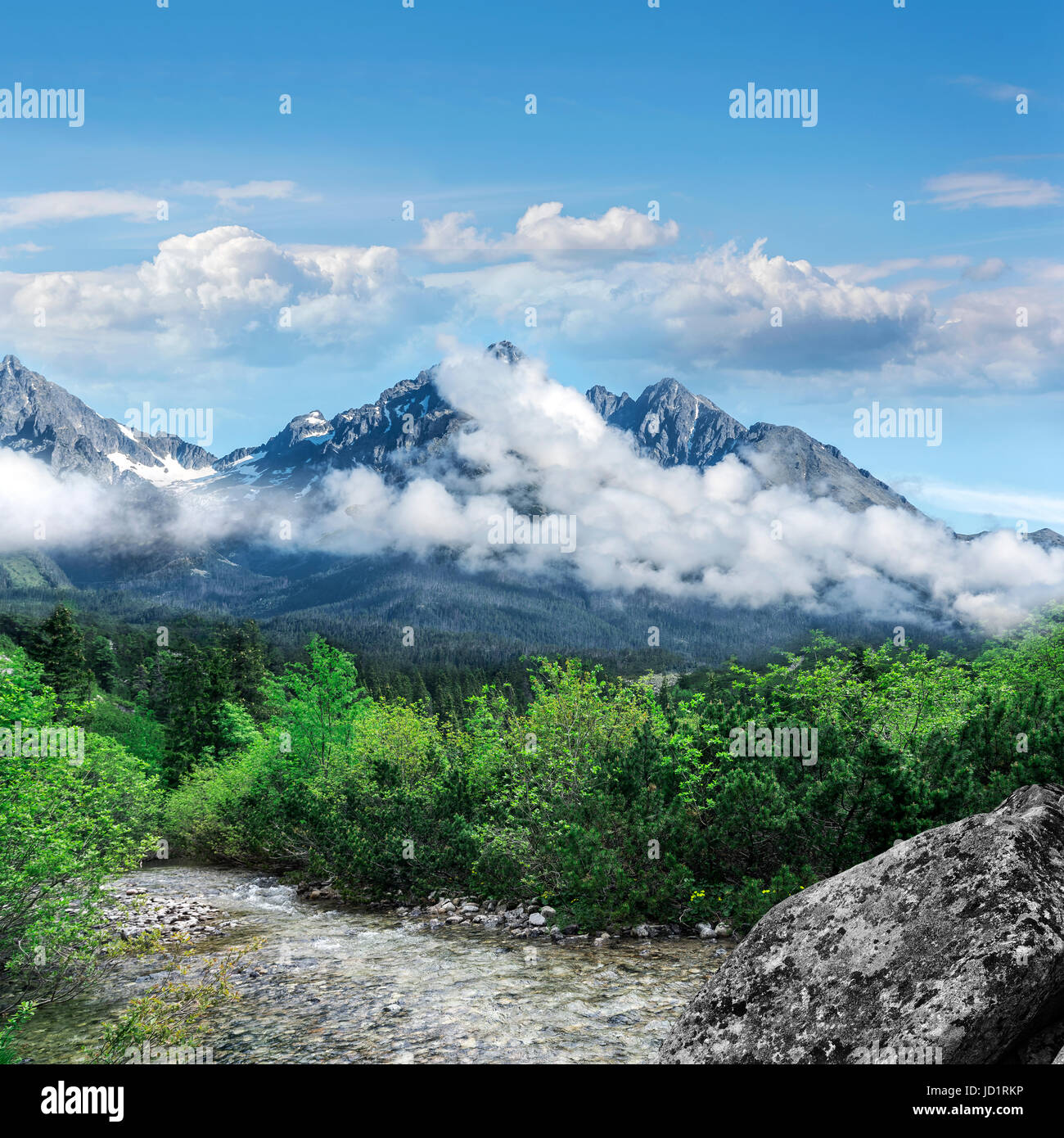 Tree against tatra mountains hi-res stock photography and images - Alamy