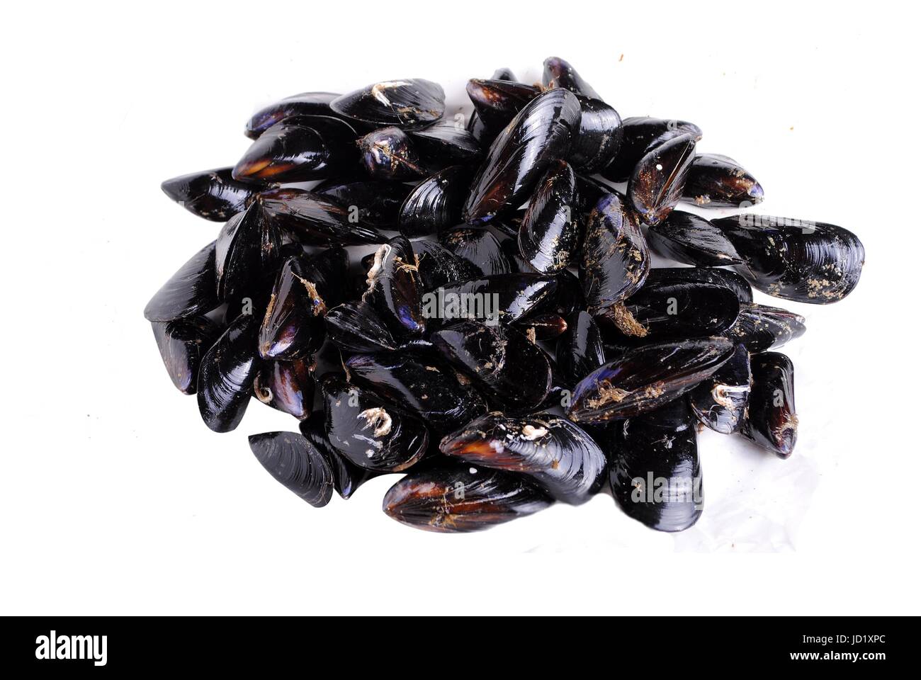 restaurant, food, aliment, health, angle, fish, frozen, boil, cooks