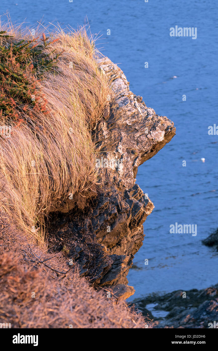 Face in the Rock near Lobster Cove Head Lighthouse - Gros Morne National Park, Rocky Harbour, Newfoundland, Canada Stock Photo