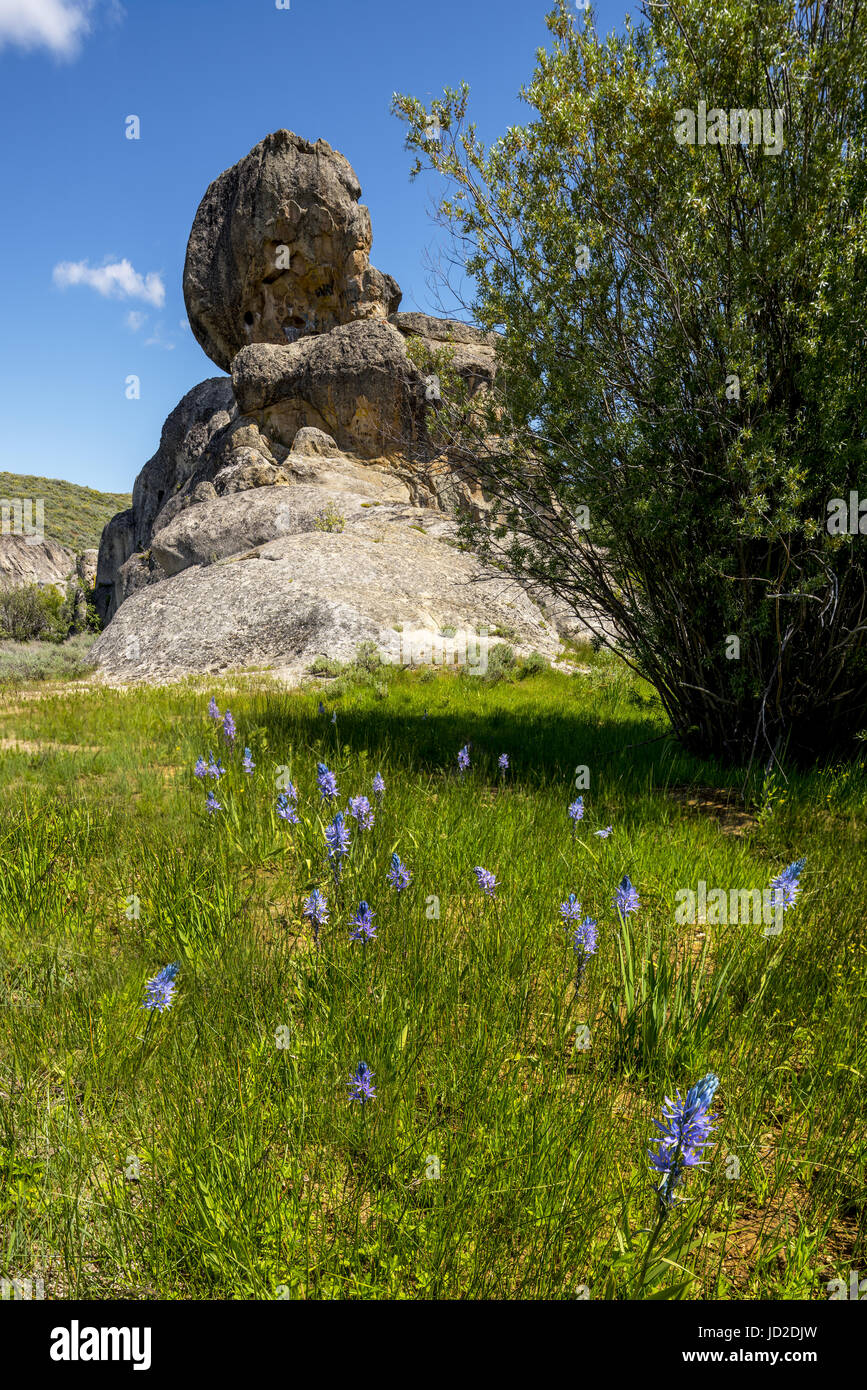 Purple flowers and iconic rock in Idaho Stock Photo - Alamy