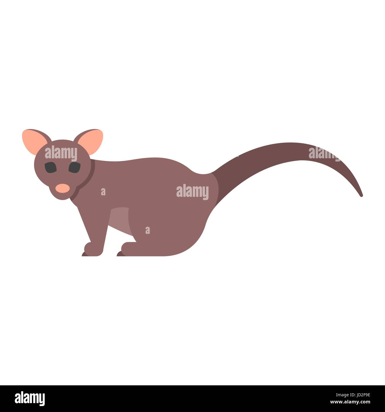 Vector flat style illustration of brushtail possum. Icon for web. Isolated on white background. Stock Vector
