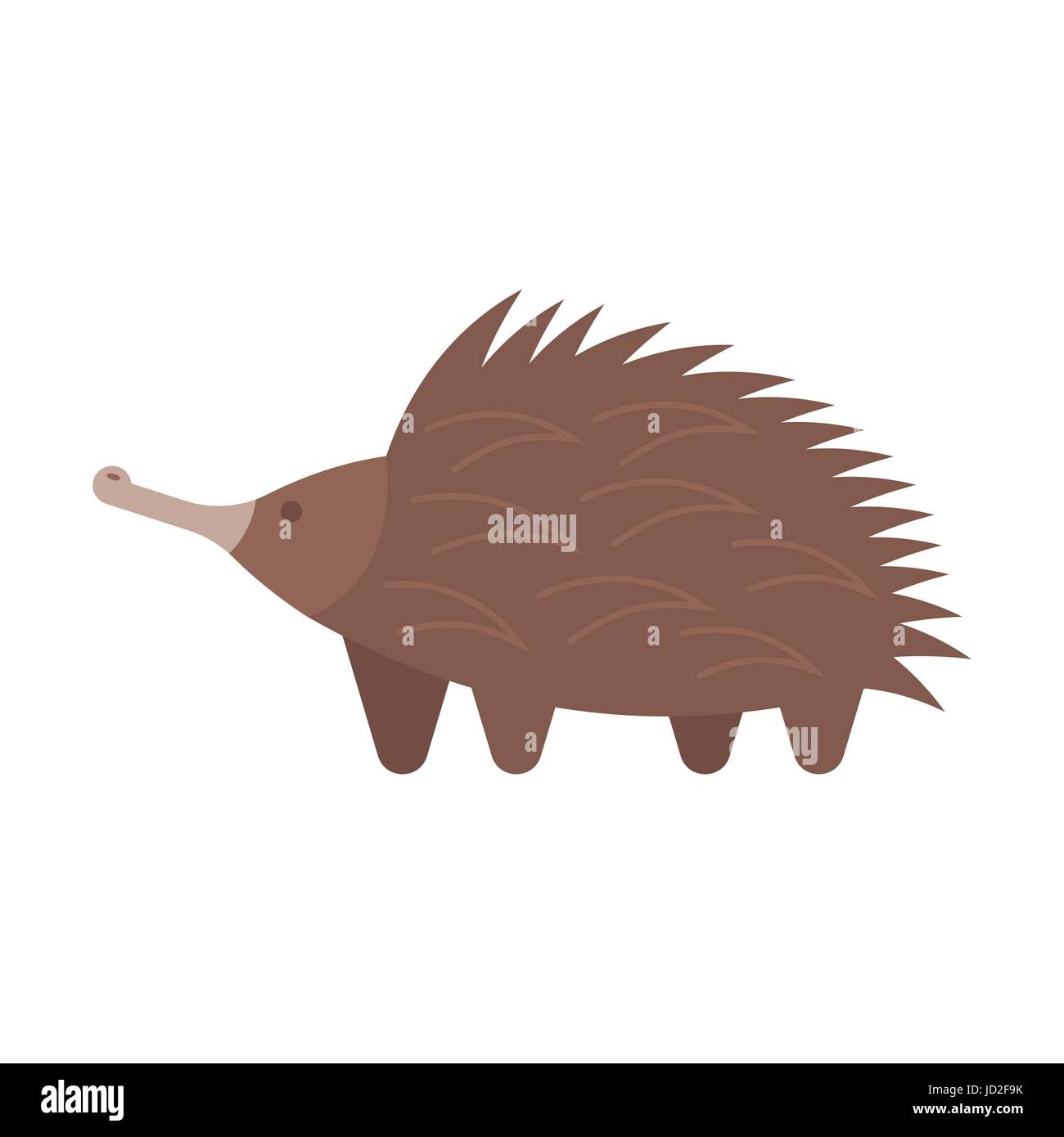 Vector flat style illustration of echidna. Icon for web. Isolated on white background. Stock Vector