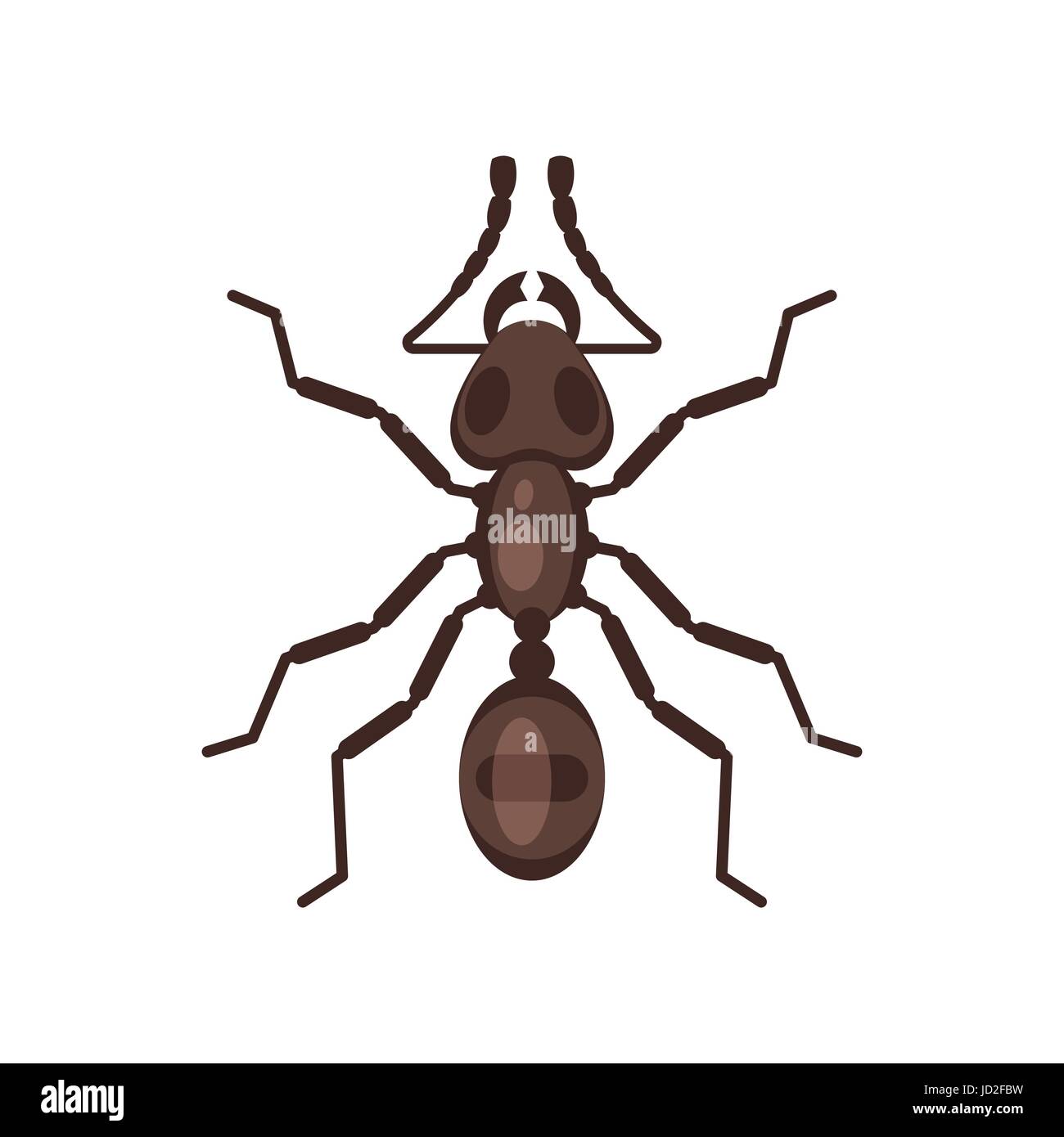 Vector flat style illustration of ant. Icon for web. Isolated on white ...