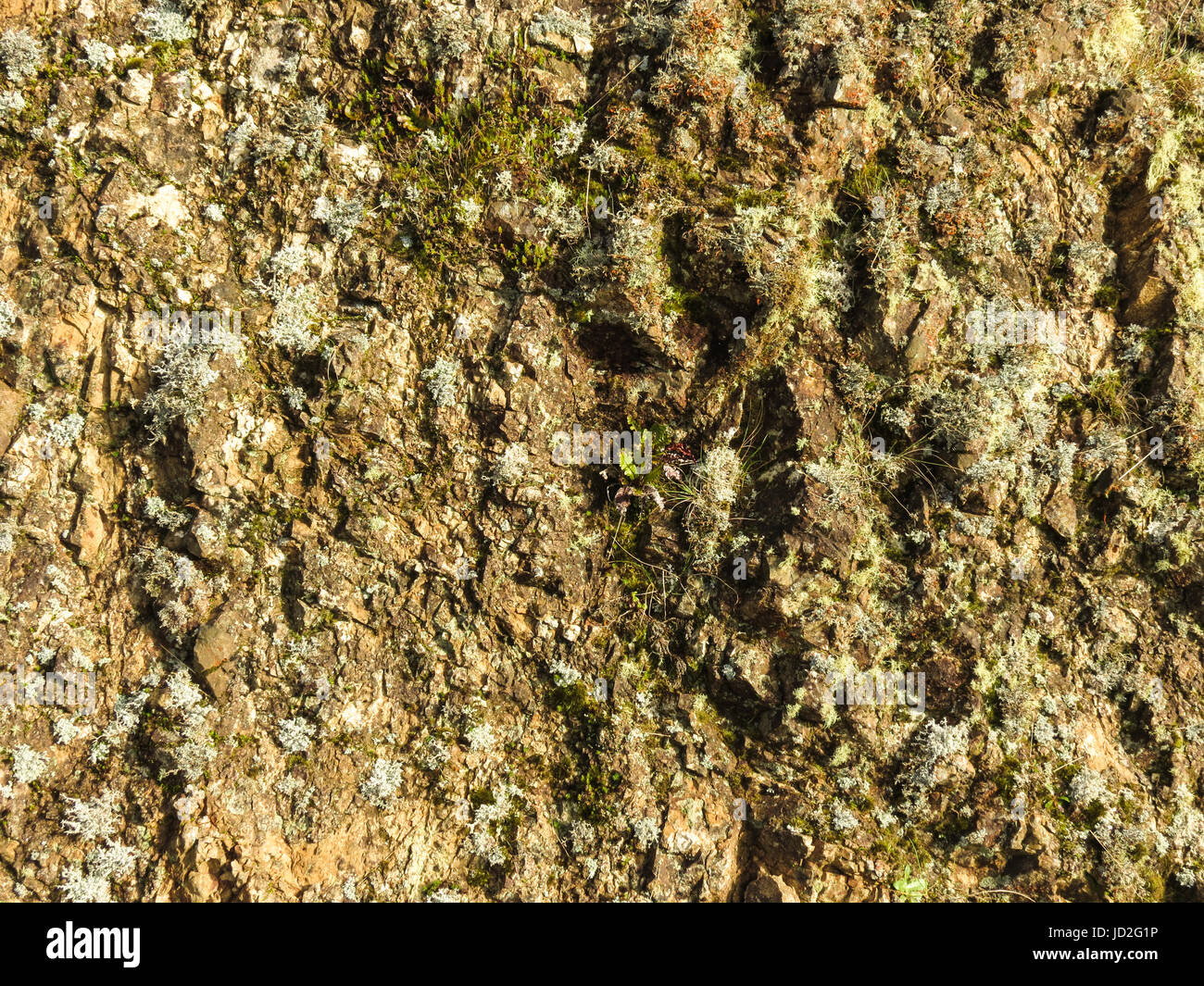 Rough rocky wall texture or for a background Stock Photo - Alamy