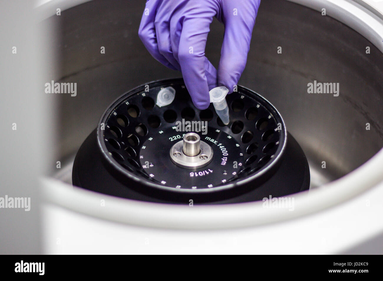Researcher or scientist or PHD student working in a biotechnology ...