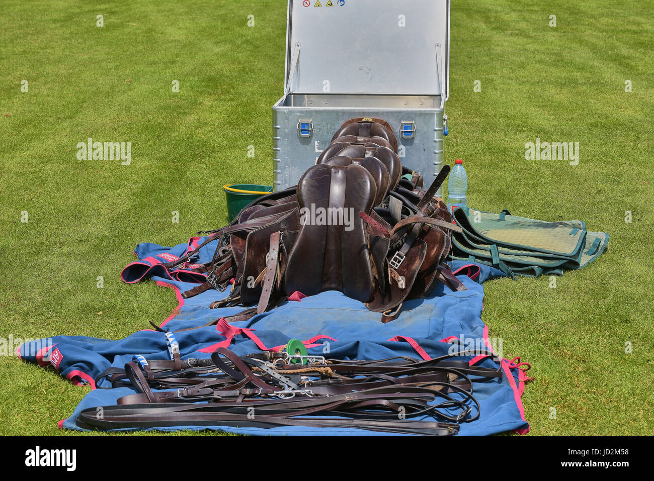 Polo Pony,horse,Pferd action, activity, animal, badge, ball, black