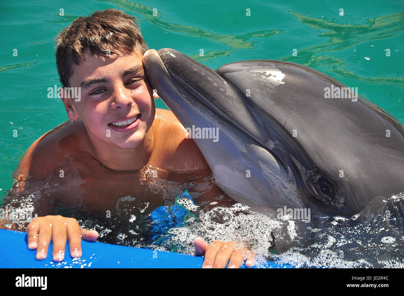 Boy dolphin hires stock photography and images Alamy