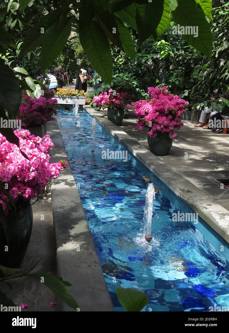 Washington DC Botanic Garden Stock Photo Alamy