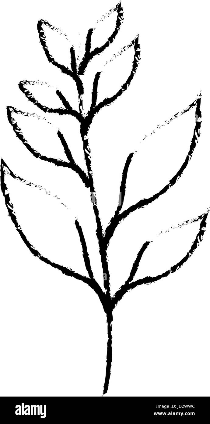 Plant ecology symbol Stock Vector Image & Art - Alamy