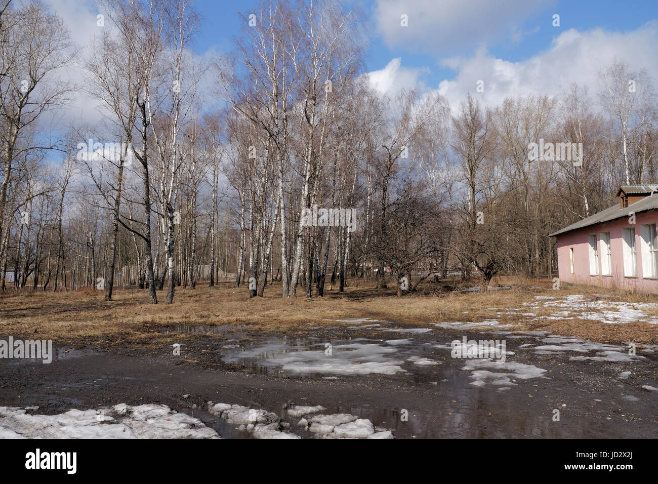 Spring landscape. Moscow region, Russia. Spring, snow, grass, trees ...
