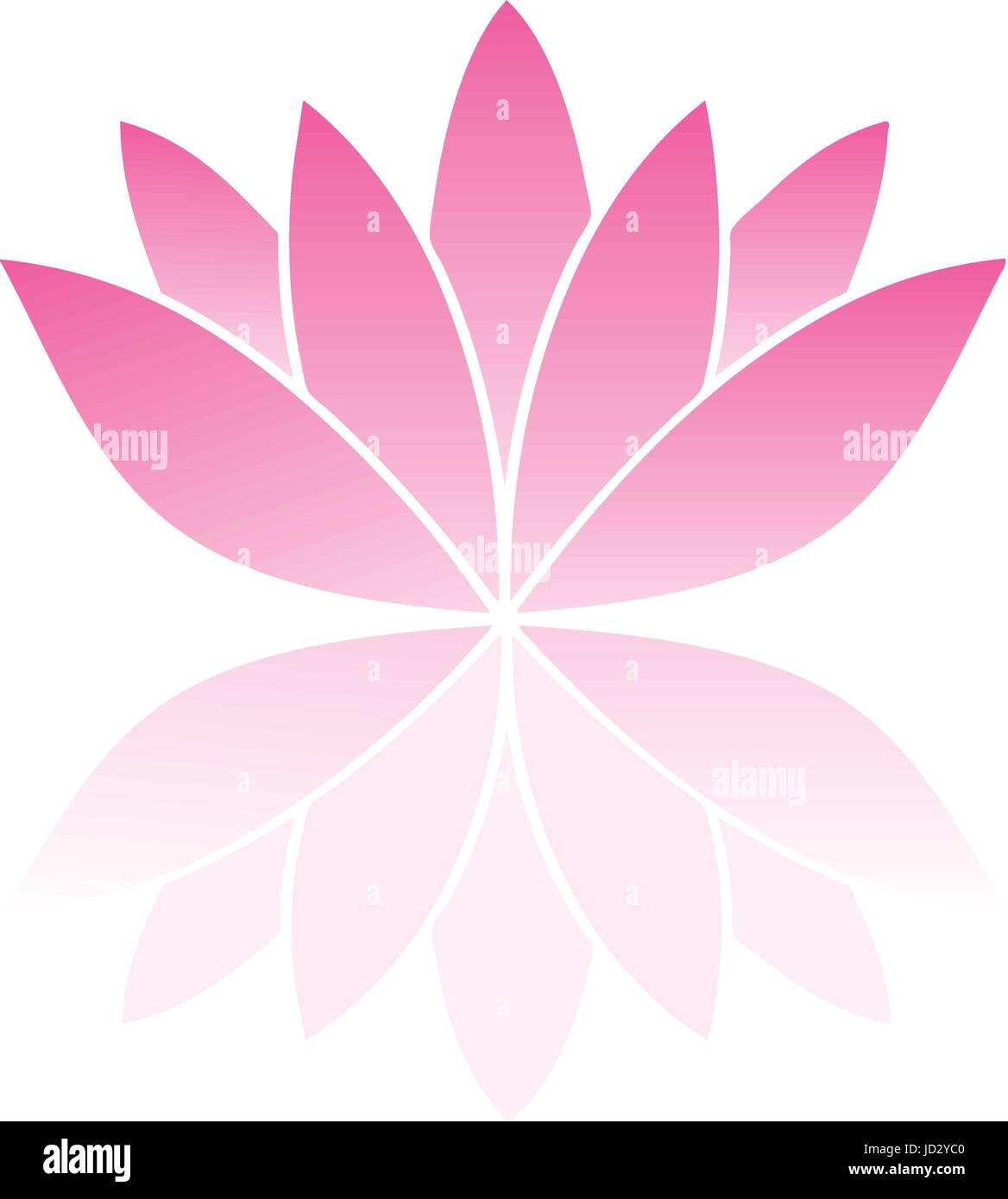 vector illustration of lotus flower isolated on white background Stock ...