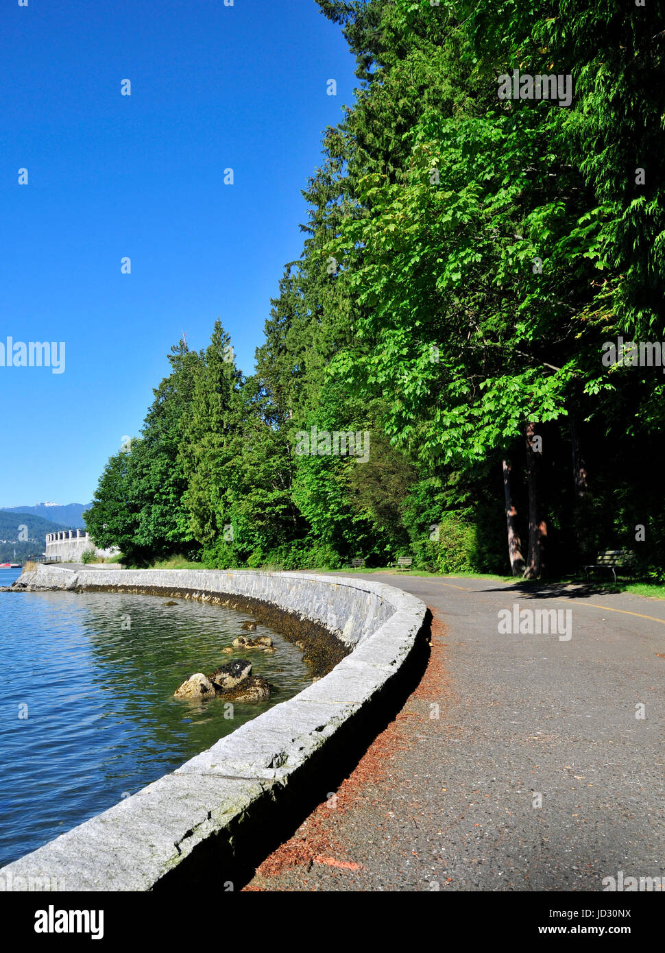 Summer Afternoon in Stanley Park Vancouver BC Canada Stock Photo Alamy