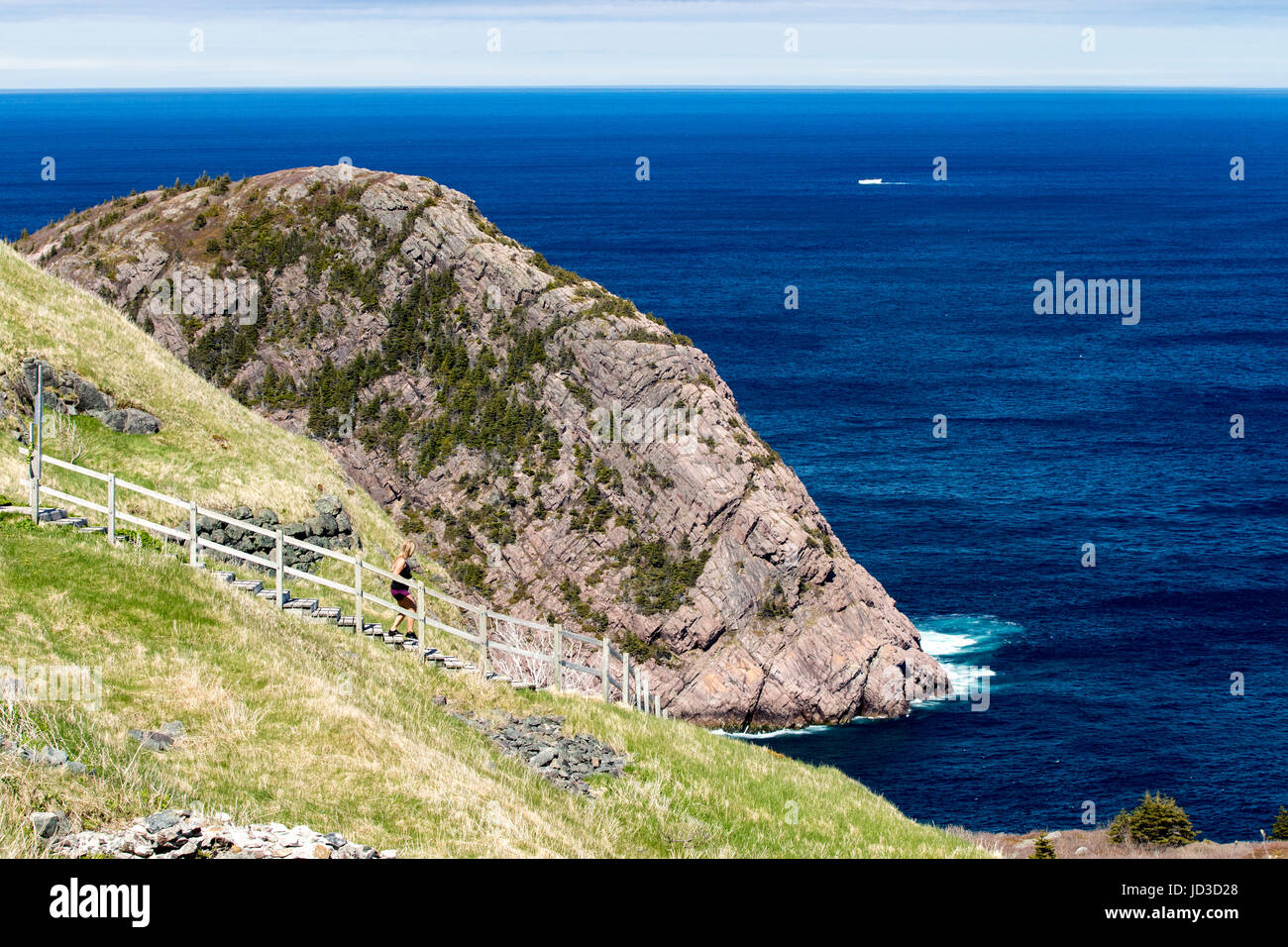 Hiking Trails at Signal Hill St. John's, Avalon Peninsula