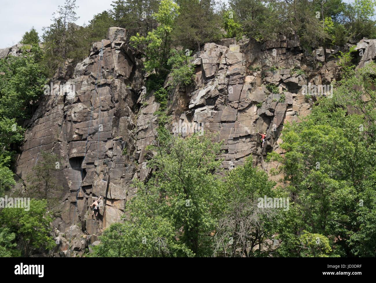 Rock climbers climbing a sheer rock wall along the St. Croix river in Taylors Falls, Minnesota