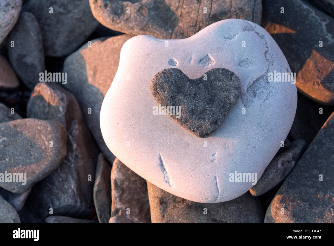 Heart-shaped Rock on Beach in Gros Morne National Park, near Rocky Harbour, Newfoundland, Canada Stock Photo