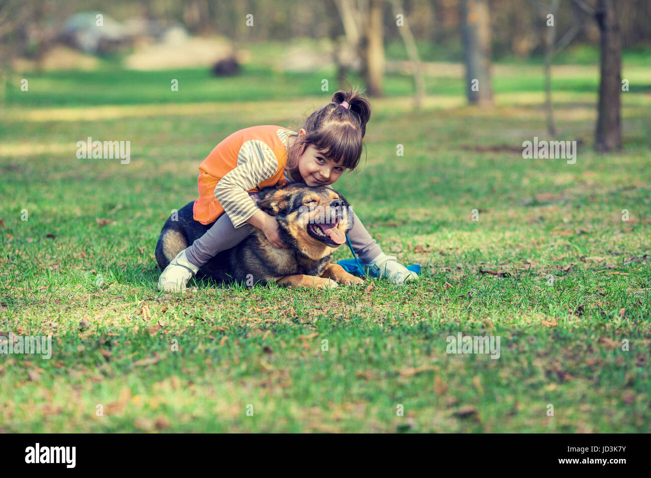 Little girl is playing with a dog on the green lawn. A girl is sitting ...