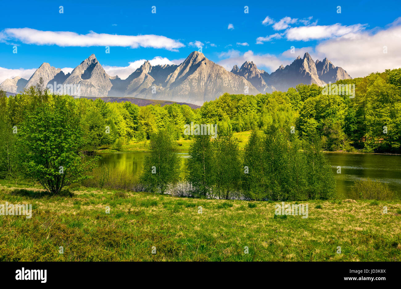 composite summer landscape. trees on the shore of a clear lake at the foot of epic high Tatra mountain ridge. rocky peaks under blue sky with clouds Stock Photo