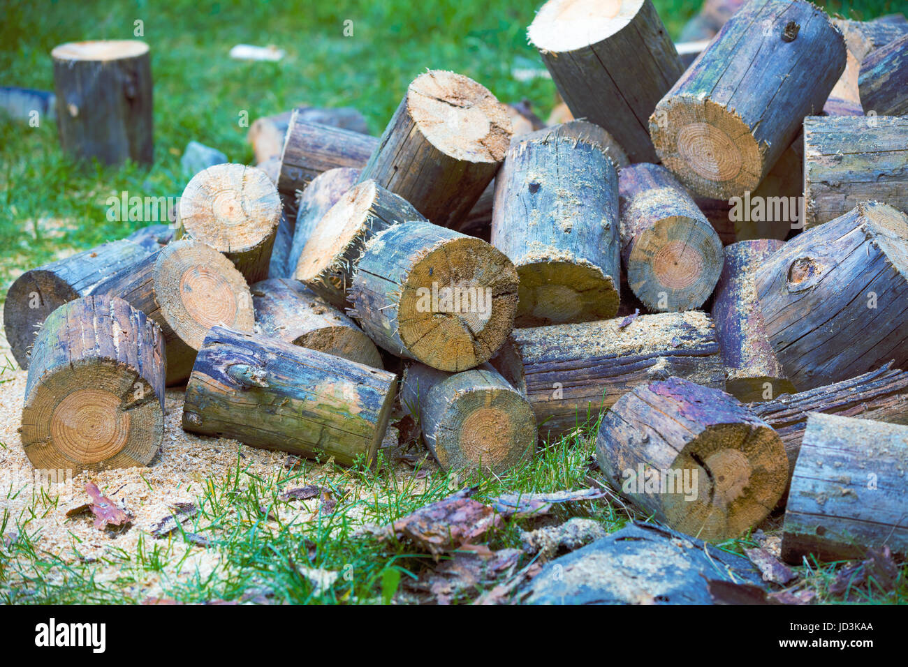 Stocking up of firewood. A pile of pine firewood on the grass in the