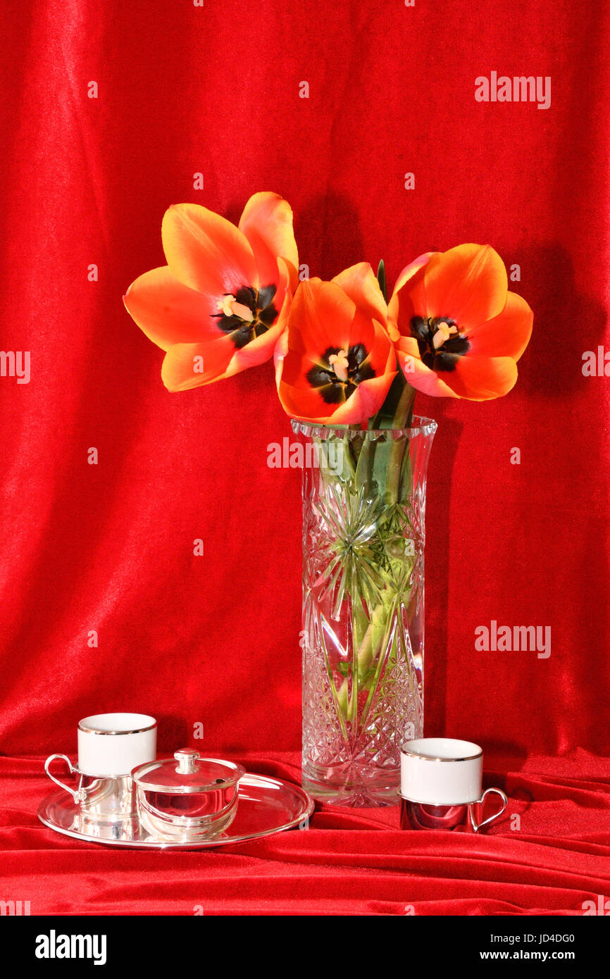 Still life with tulips on a red background Stock Photo - Alamy