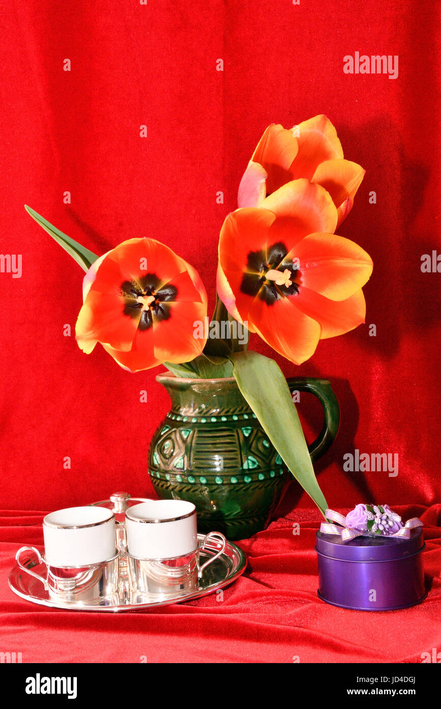 Still life with tulips on a red background Stock Photo - Alamy